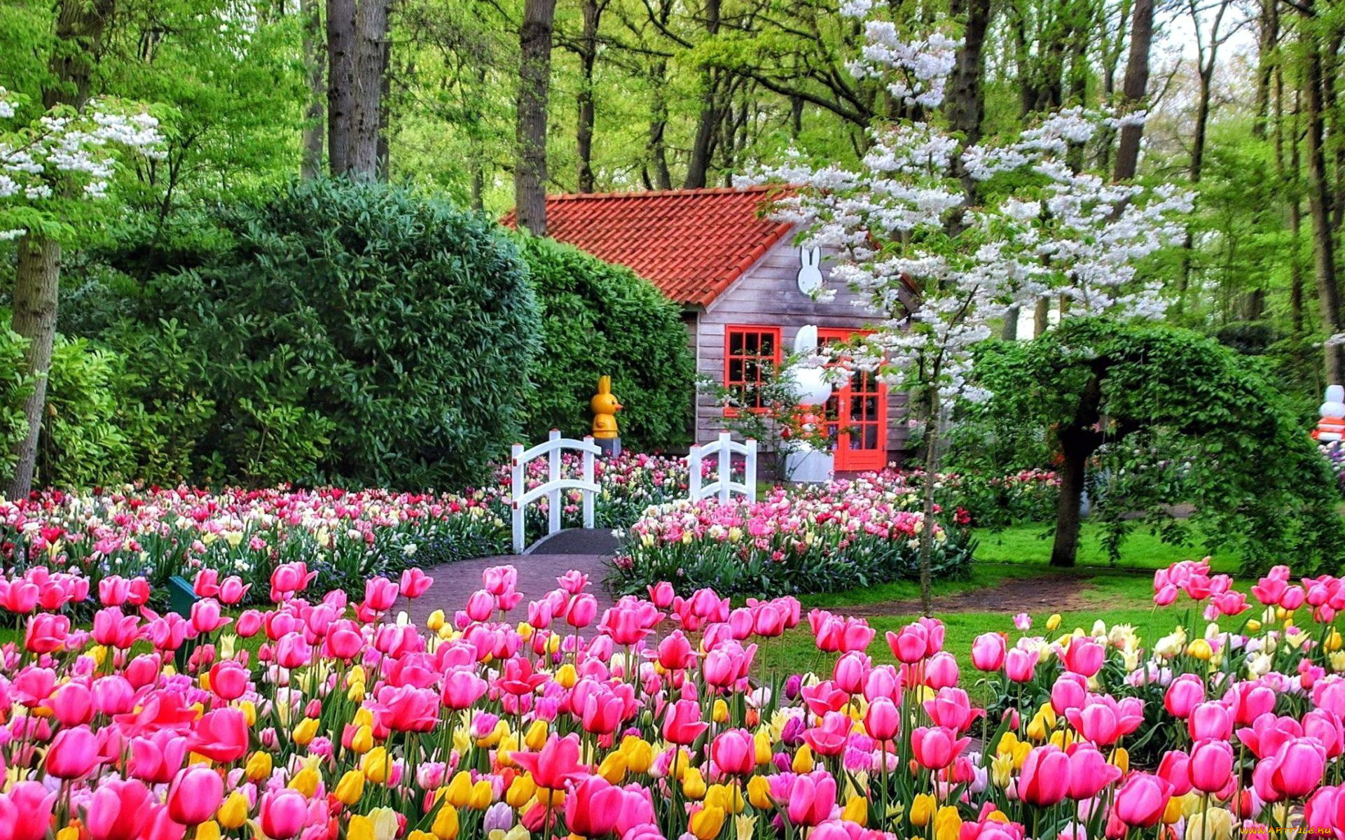 keukenhof park, netherlands, , - ,  , keukenhof, park